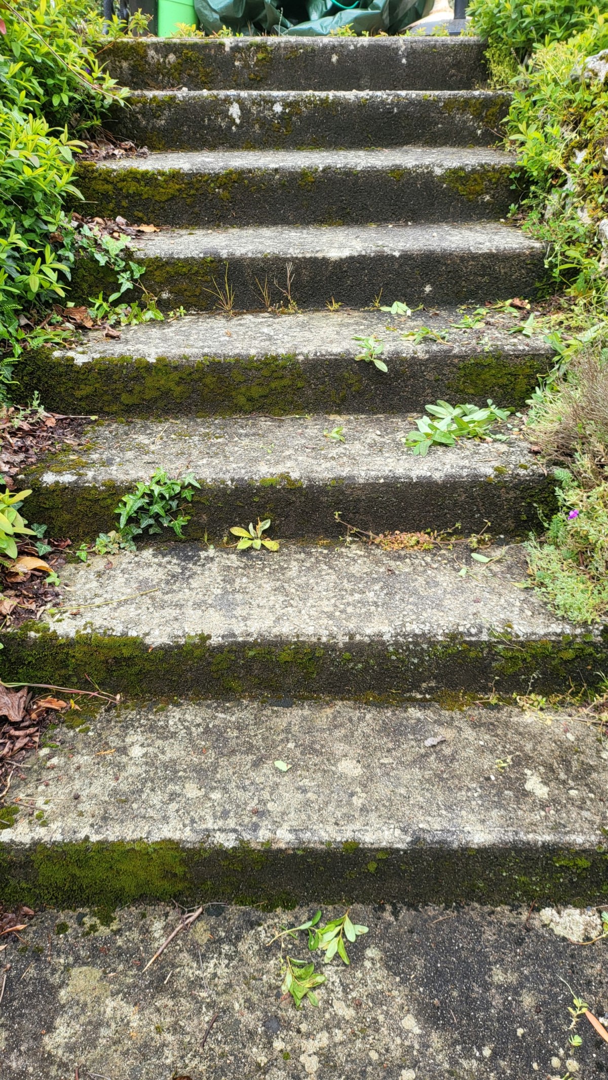 stairs before pressure wash